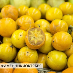 Хурма - купить на Экомаркете